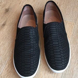 Joie Kidmore slip ons